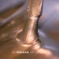 Makear SC02 Lakier hybrydowy 8ml Cat Eye 